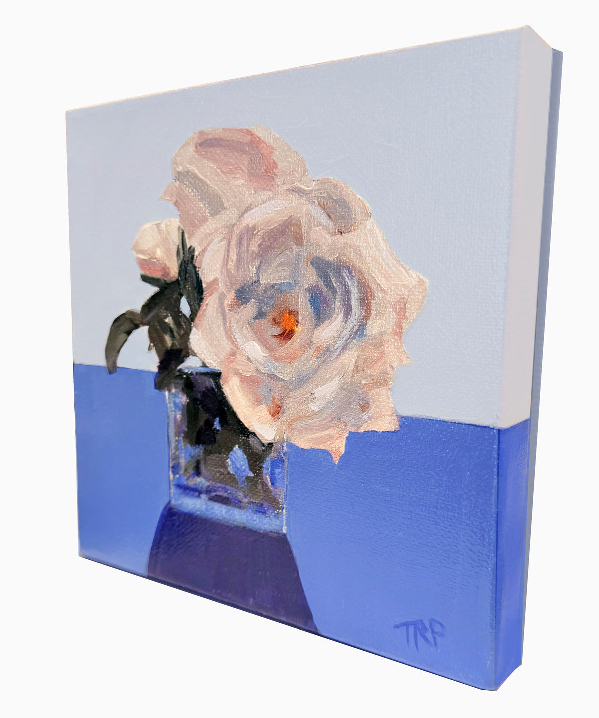 Garden Roses