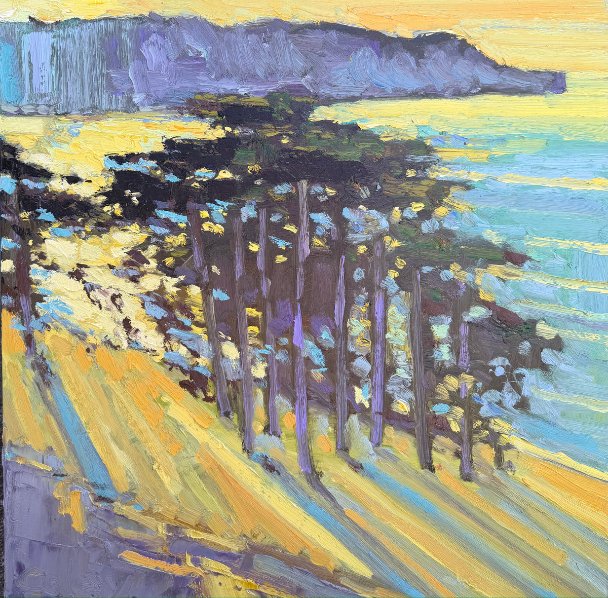 Above Baker Beach #204