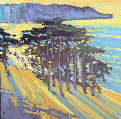 Above Baker Beach #204