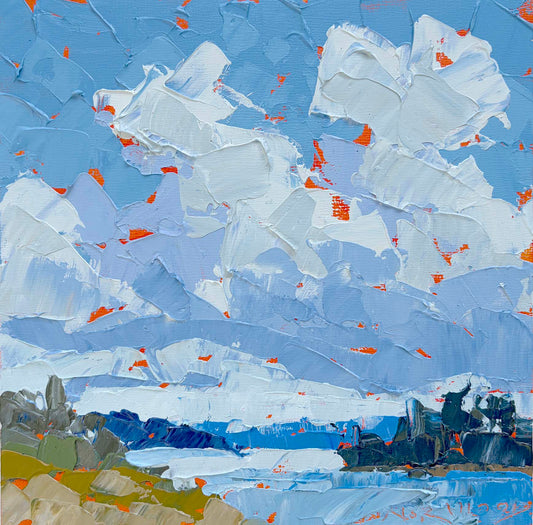 Back Bay Study