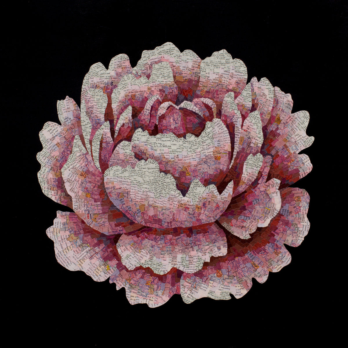 Beyond the Reach (Flower)