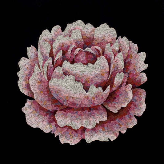 Beyond the Reach (Flower)