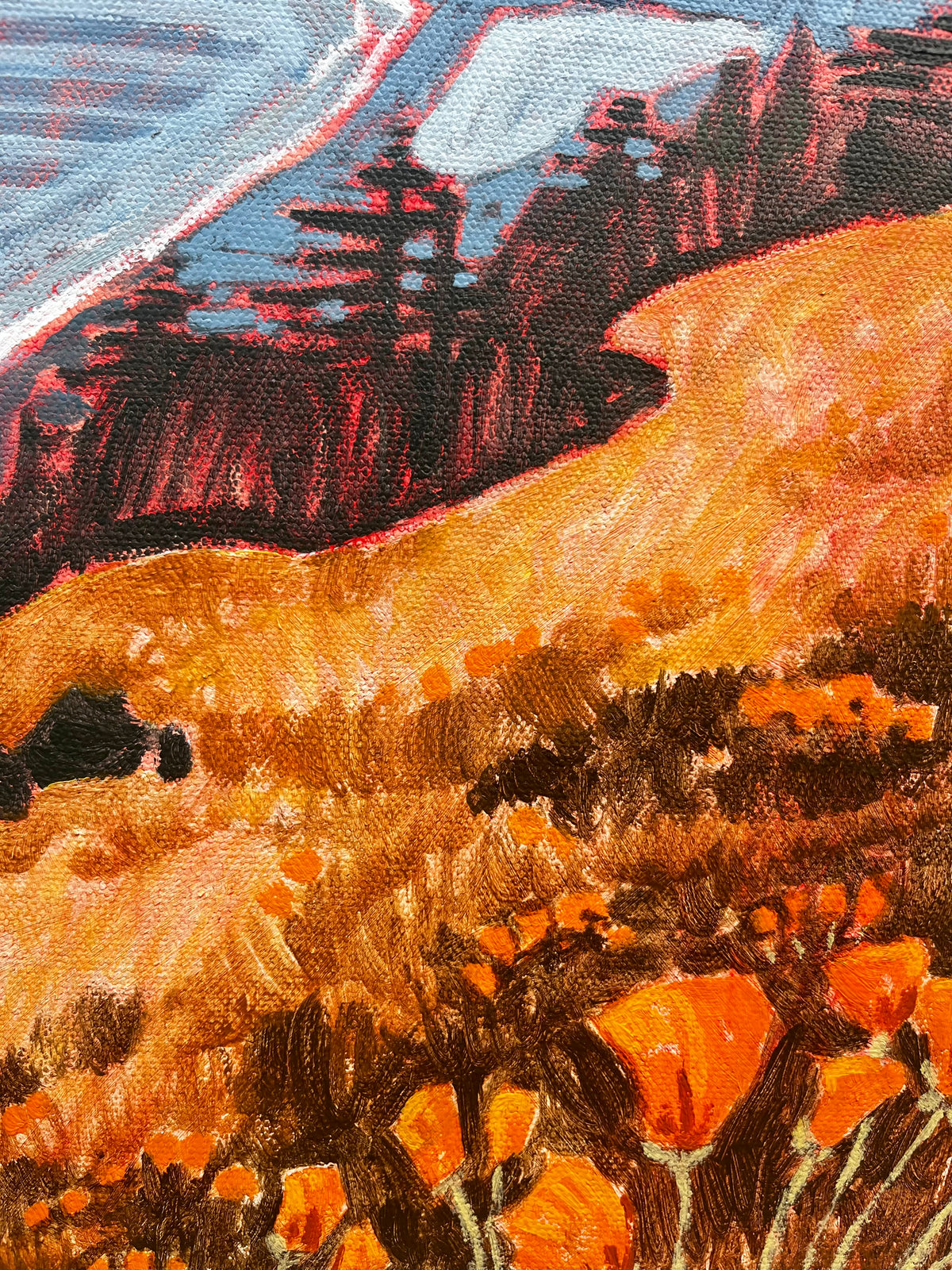 Bolinas Ridge with Poppies