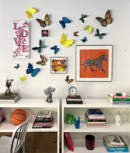 SET D: 6 - Piece Butterfly Wall Installation