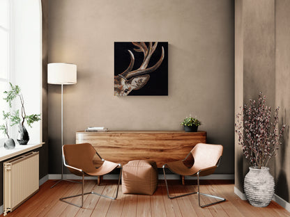 Capitola (Elk)