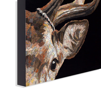 Capitola (Elk)
