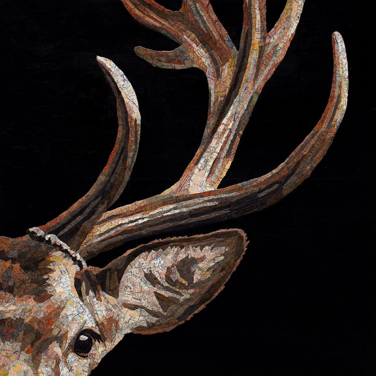 Capitola (Elk)