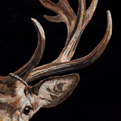 Capitola (Elk)