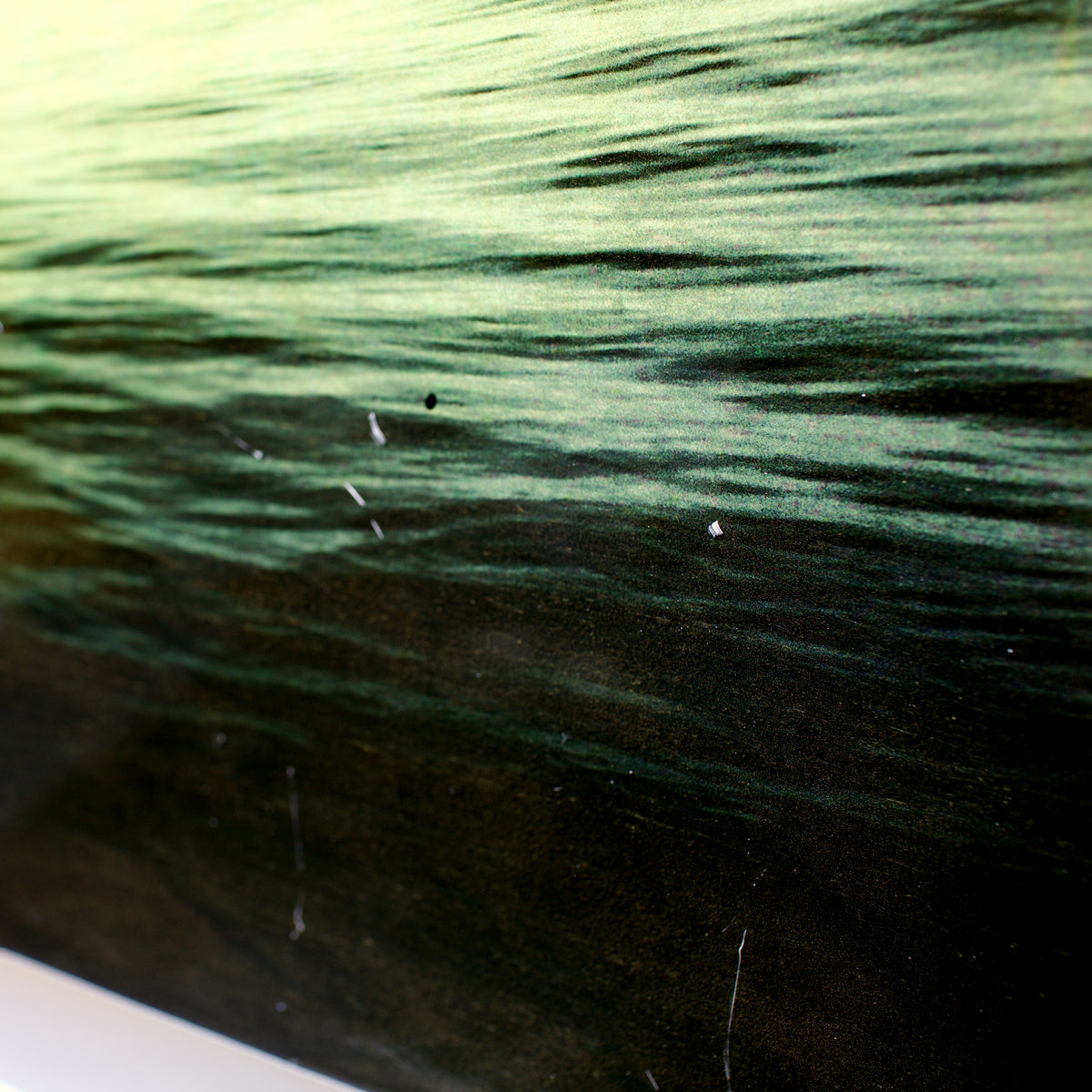 Dawn (Surfer)