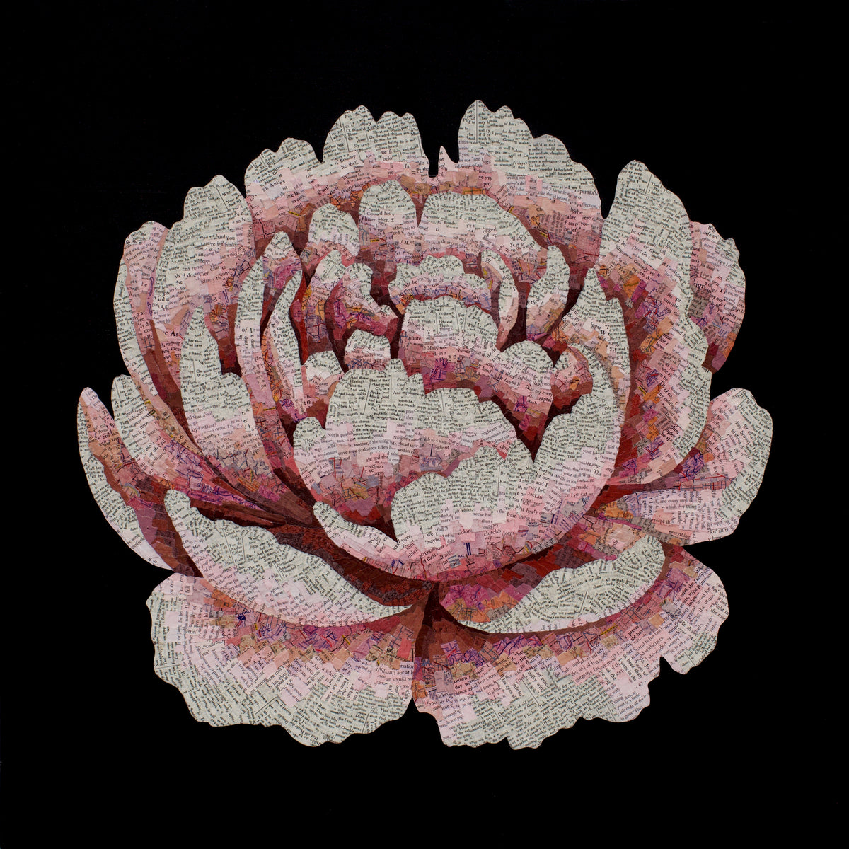 Every Step (Flower)