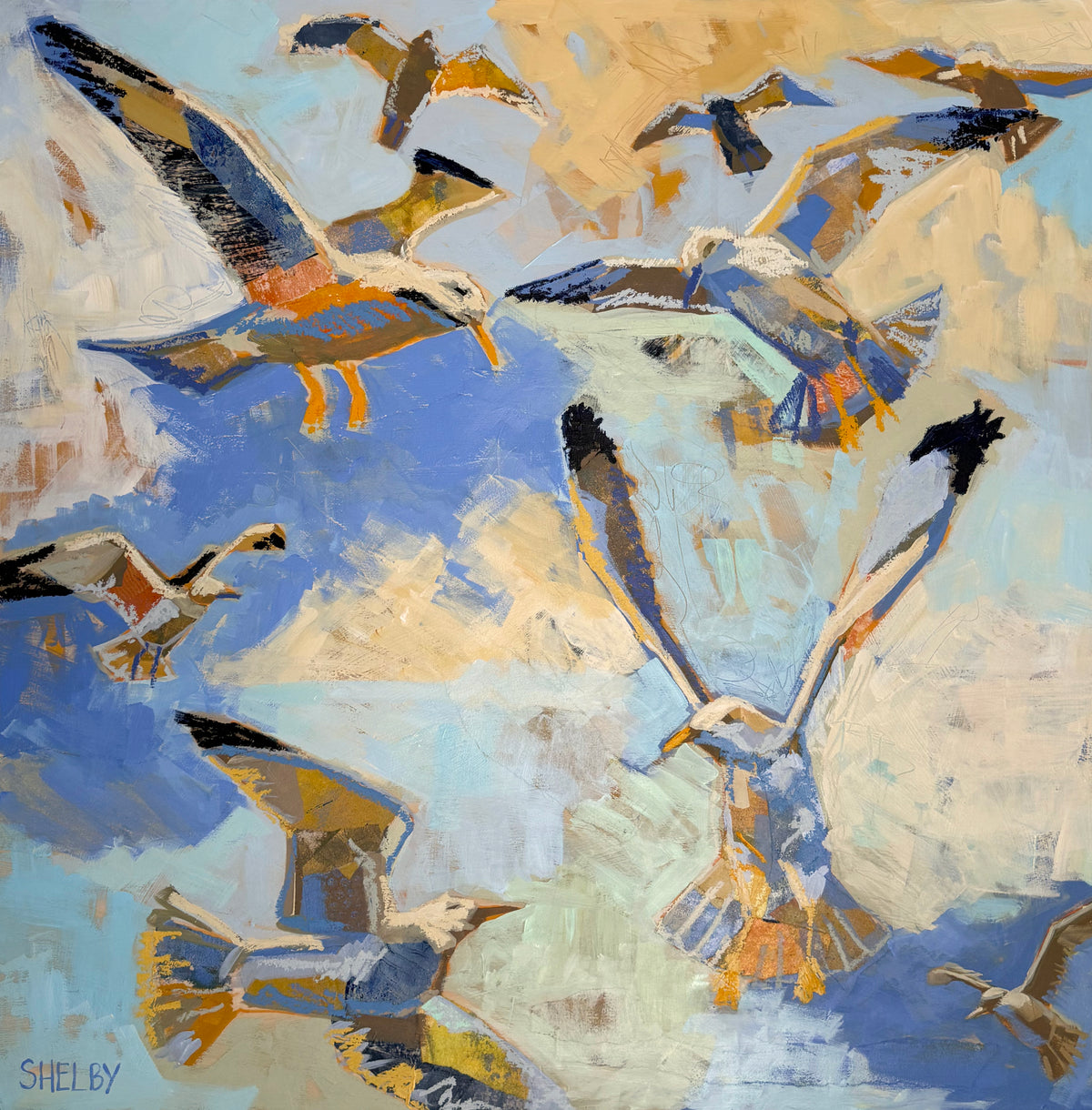 Five Second Rule (Seagulls)