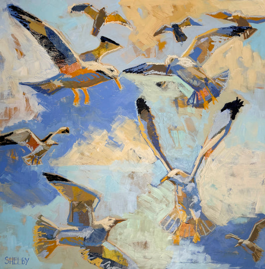 Five Second Rule (Seagulls)