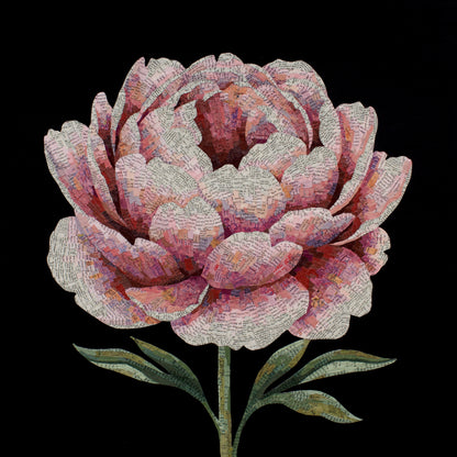 For a Moment (Flower)