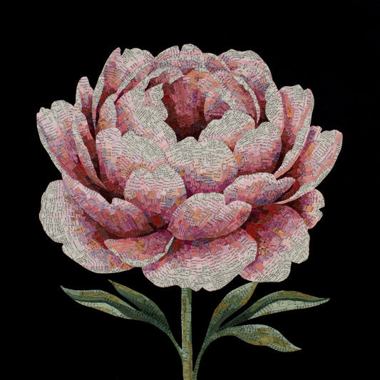 For a Moment (Flower)