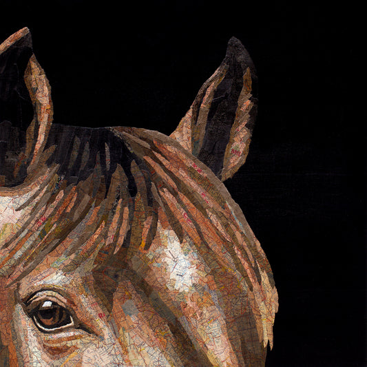 Healdsburg (Horse)