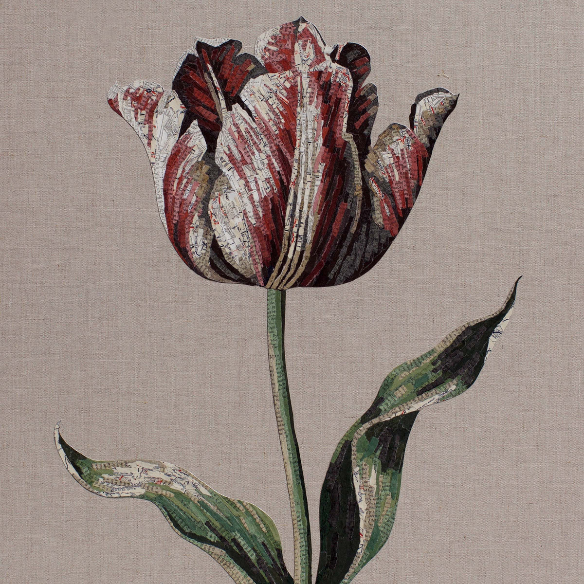 Inspire (Tulip)