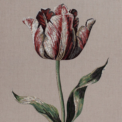 Inspire (Tulip)