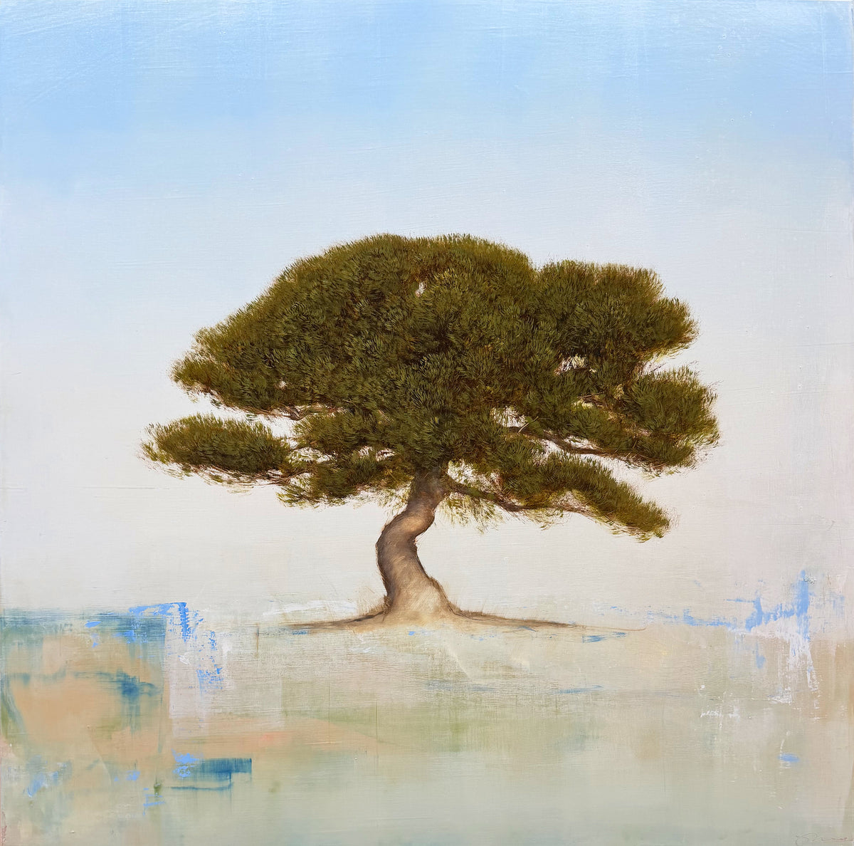 Juniper