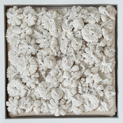 Porcelain Flowers - Lichen
