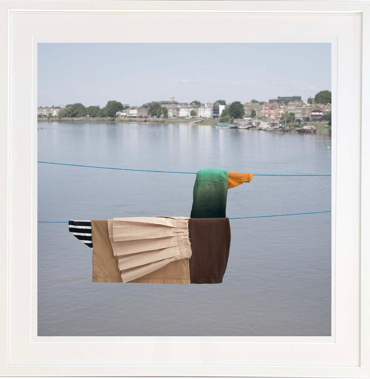 Mallard