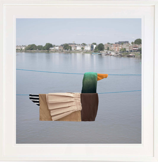 Mallard