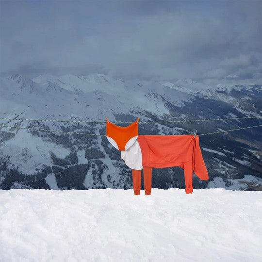 Mr. Fox
