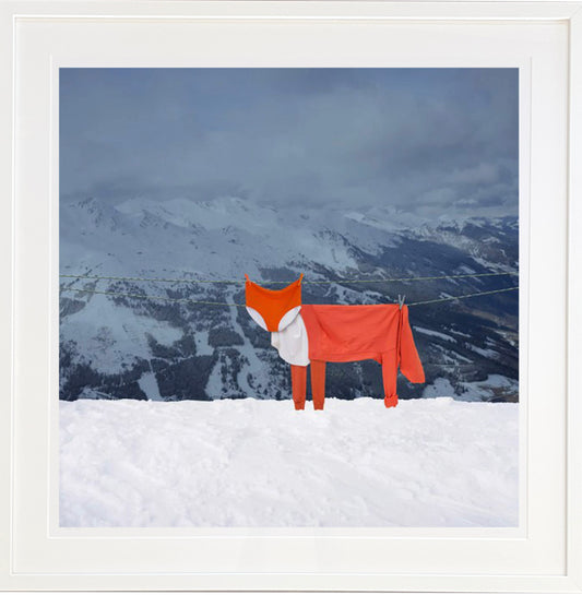 Mr. Fox