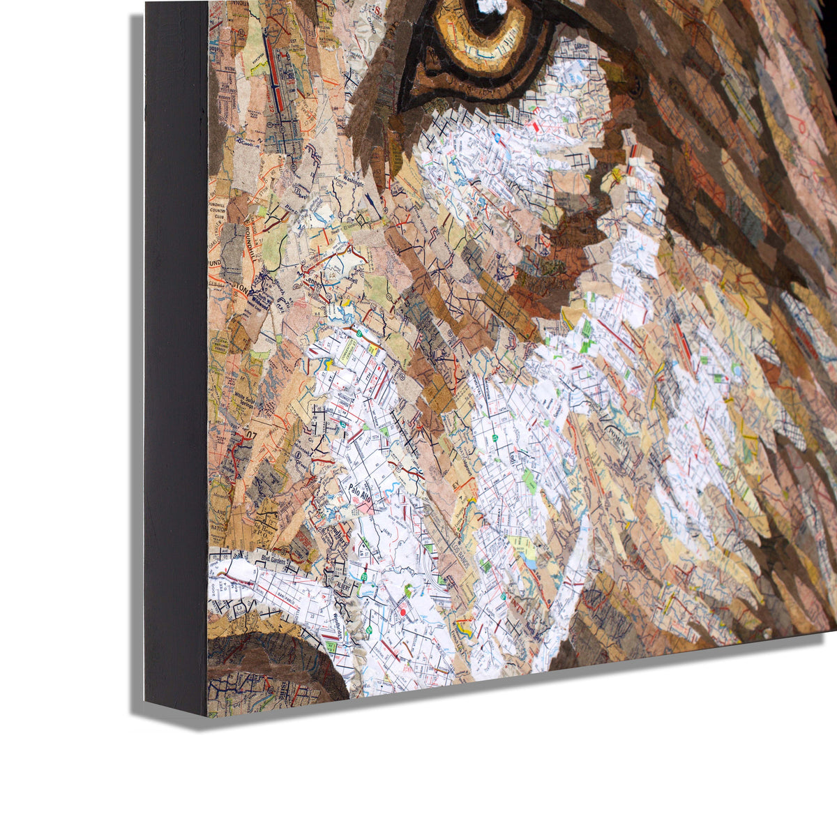 Palo Alto (Wolf)