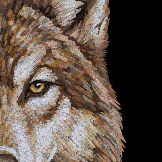 Palo Alto (Wolf)