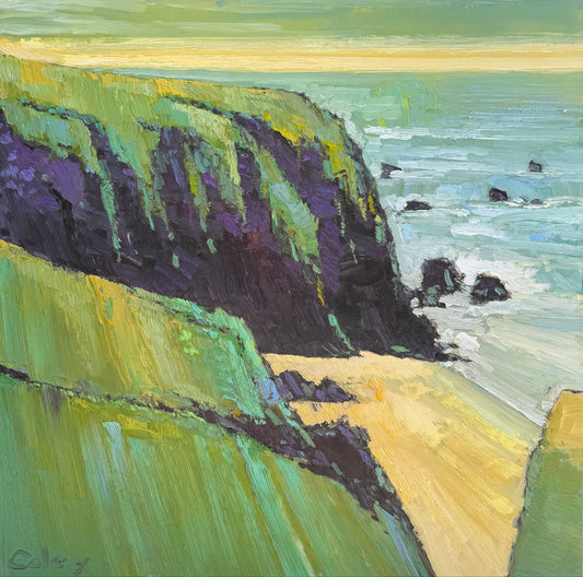 Pirate's Cove #6