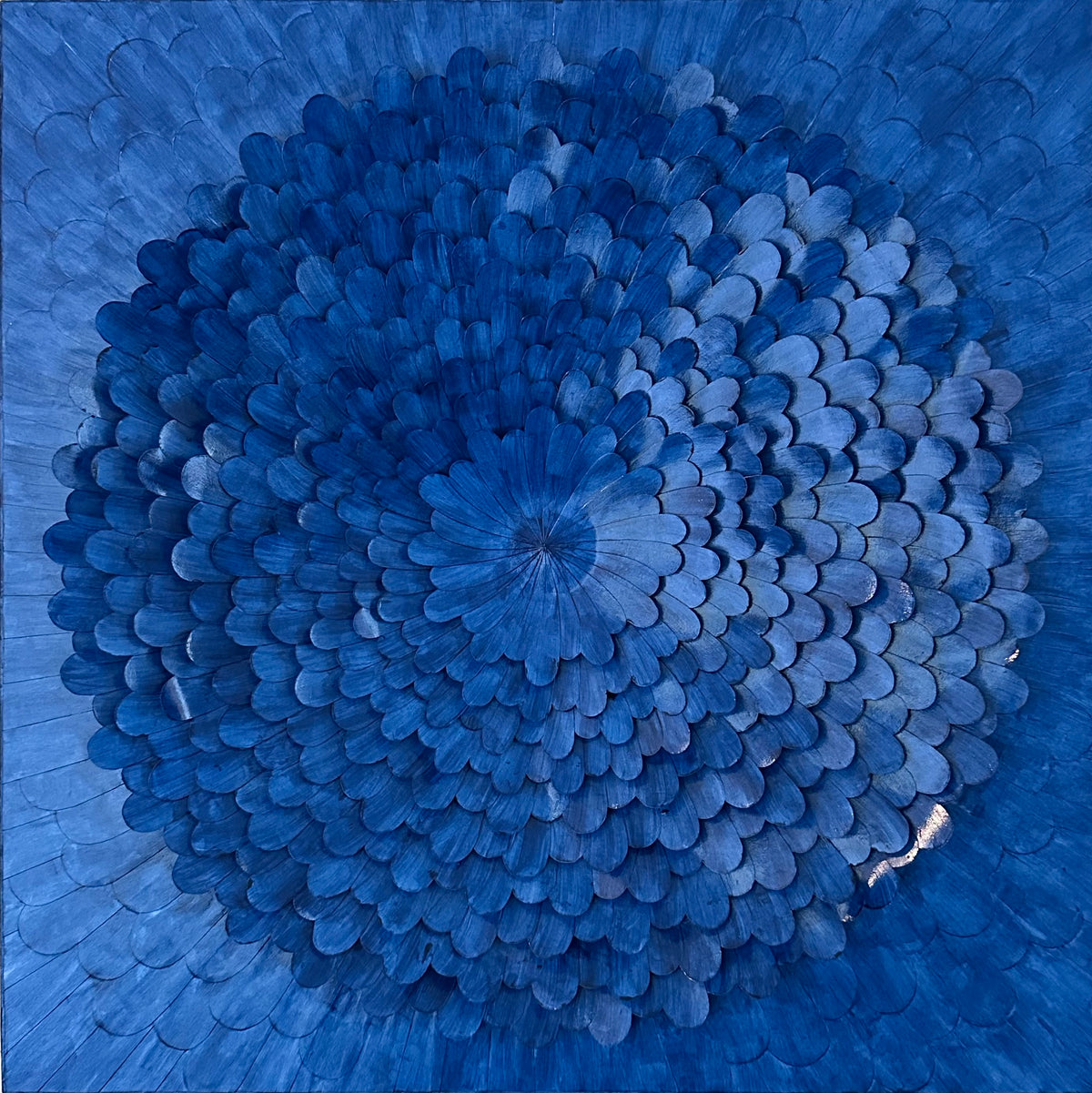 Night Bloom