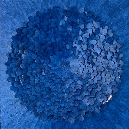 Night Bloom