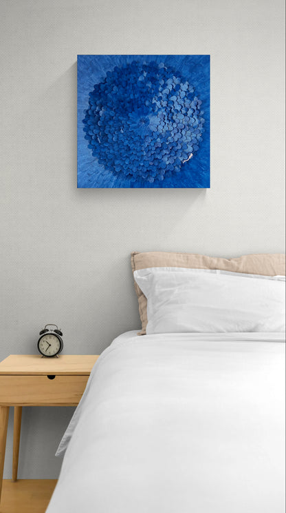 Night Bloom