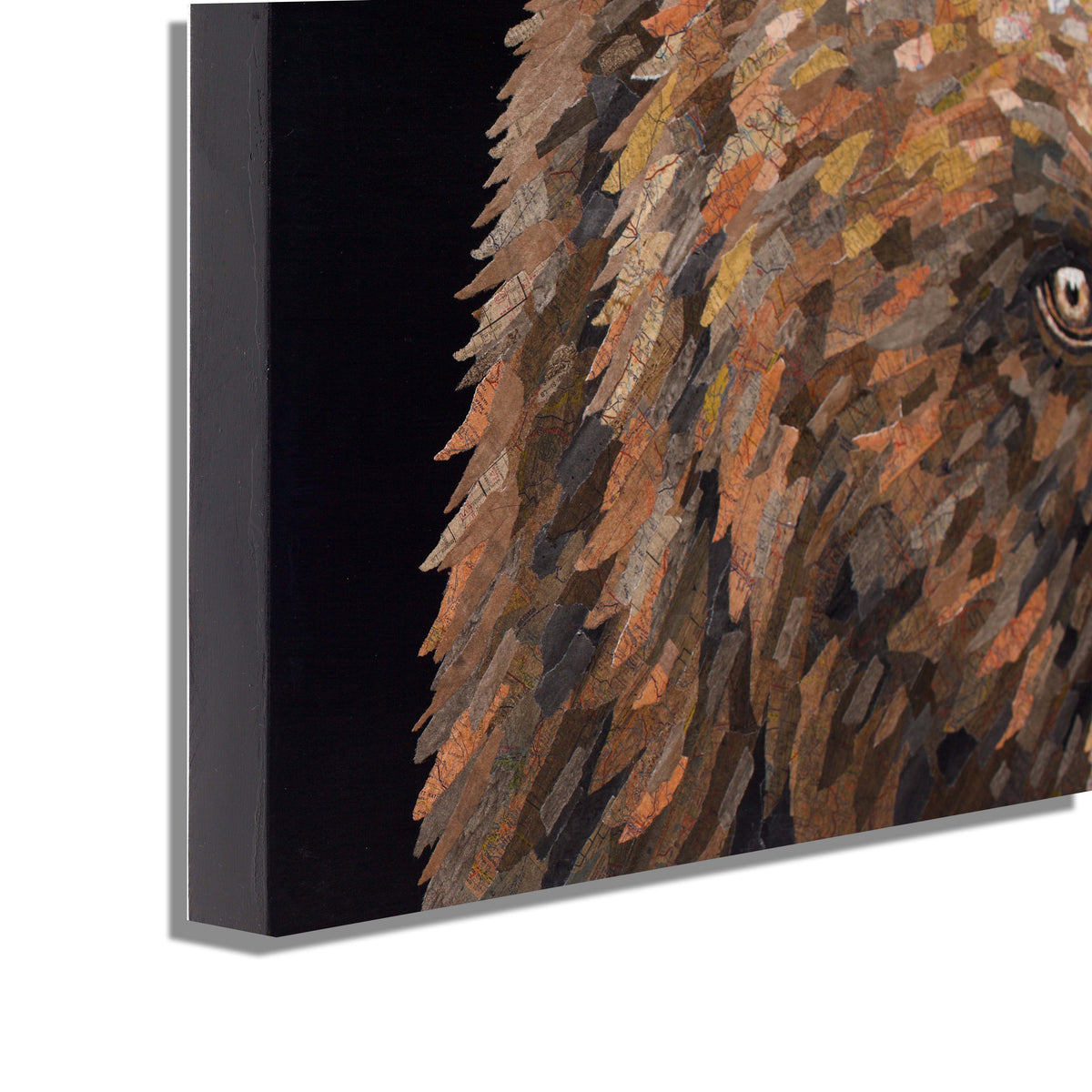 San Jose (Bear)