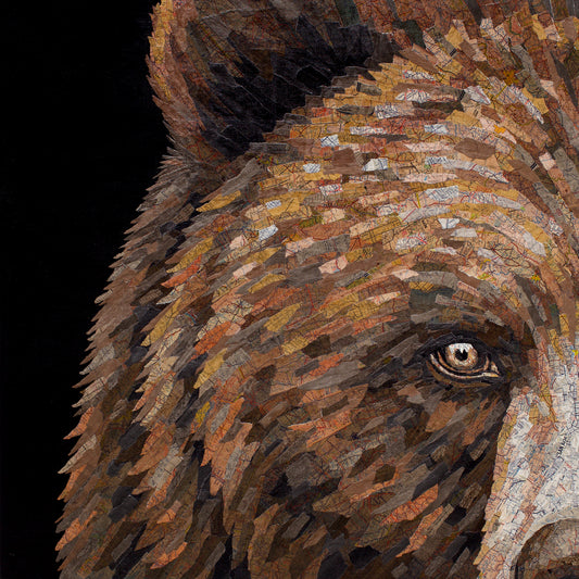 San Jose (Bear)