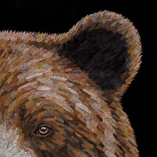 Santa Clara (Bear)