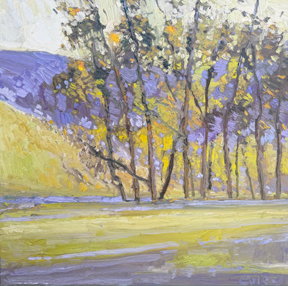 Tennessee Valley, Eucalyptus #35