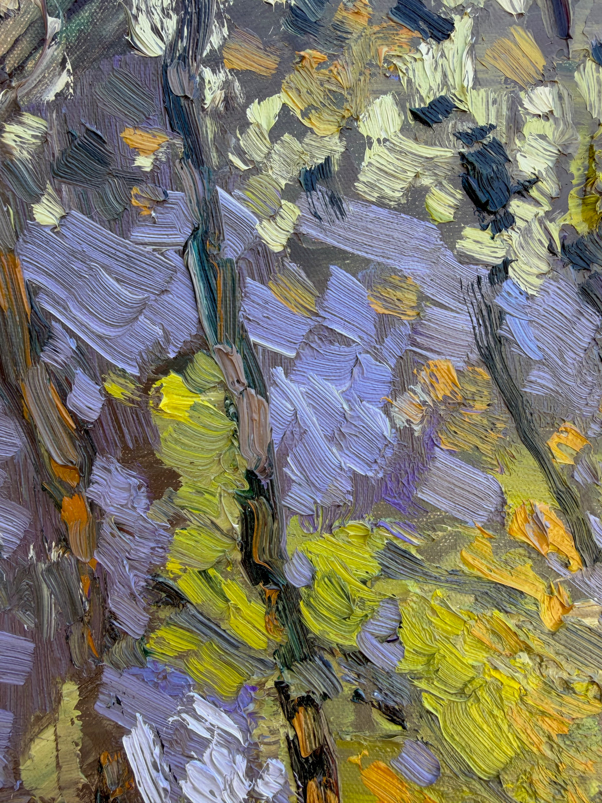 Tennessee Valley, Eucalyptus #35