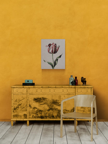 Inspire (Tulip)