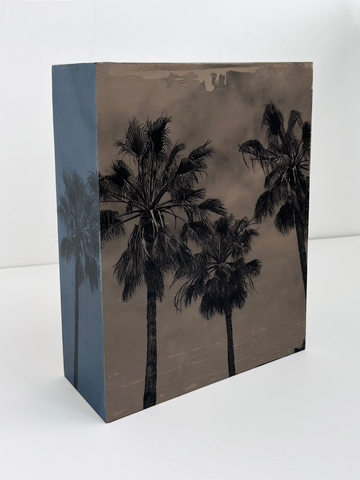California Palms