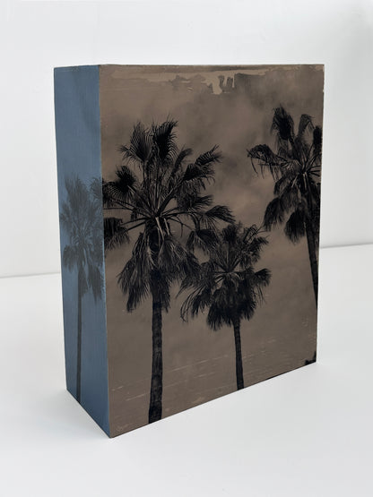 California Palms