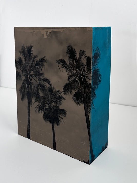California Palms