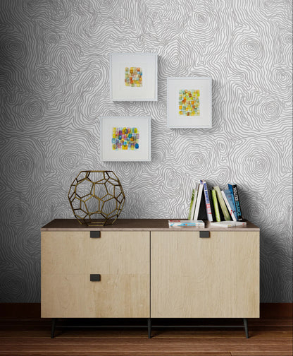 Aspen Study, Lake Tahoe