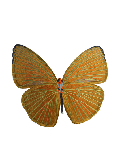 SET C: 6 - Piece Butterfly Wall Installation